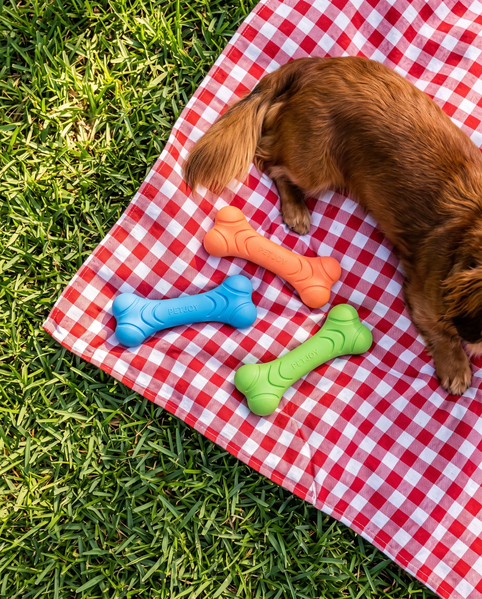Three colorful PetJoy bones arranged on a red gingham picnic blanket beside a Cavalier King Charles spaniel